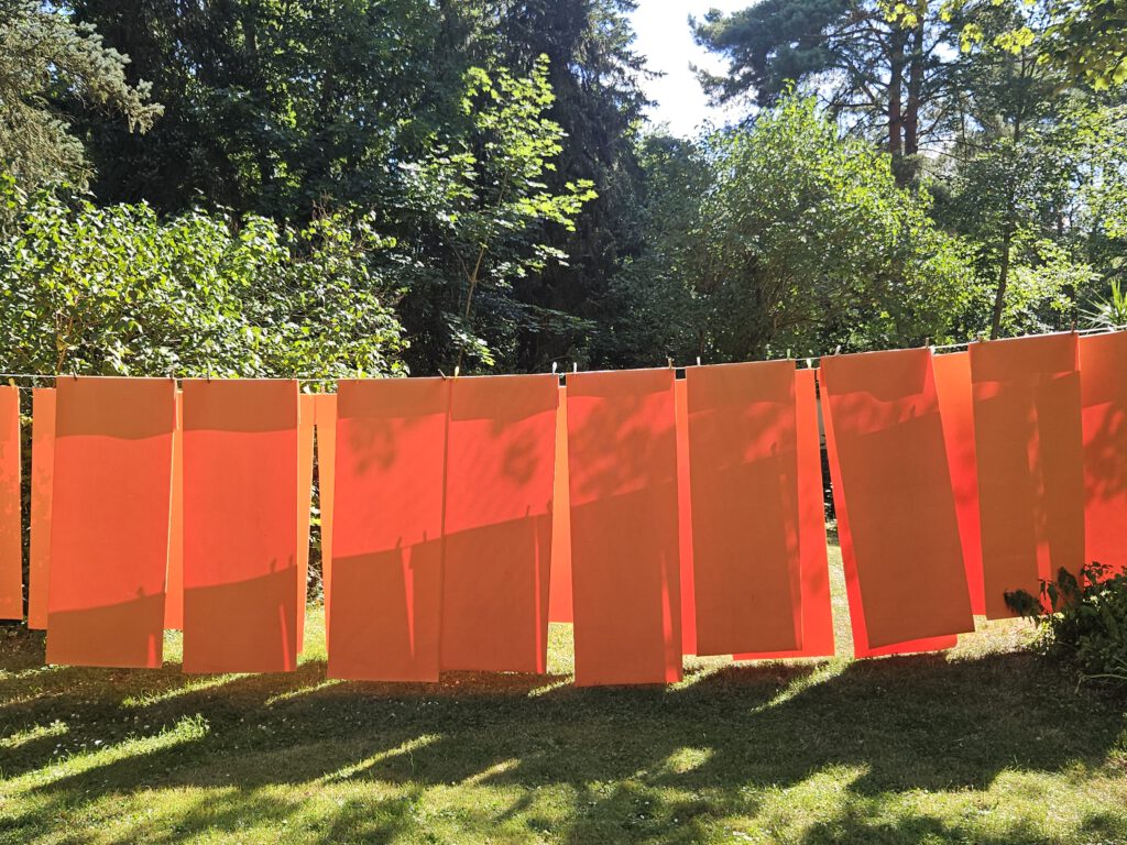 Yoga - Sommerpause im Yoga- Vital- Pirna